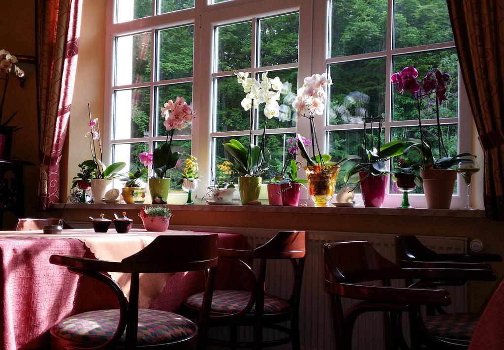 Rhön Hotel Waldcafé St. Georg Staatsbad Brückenau Exterior foto